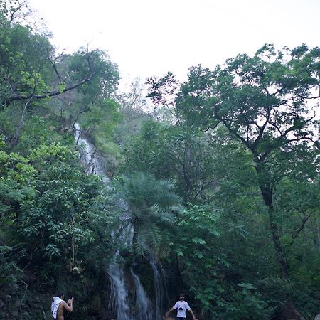 Perfect Stayz Premium Forest Valley Near Waterfall Rishīkesh Exterior foto