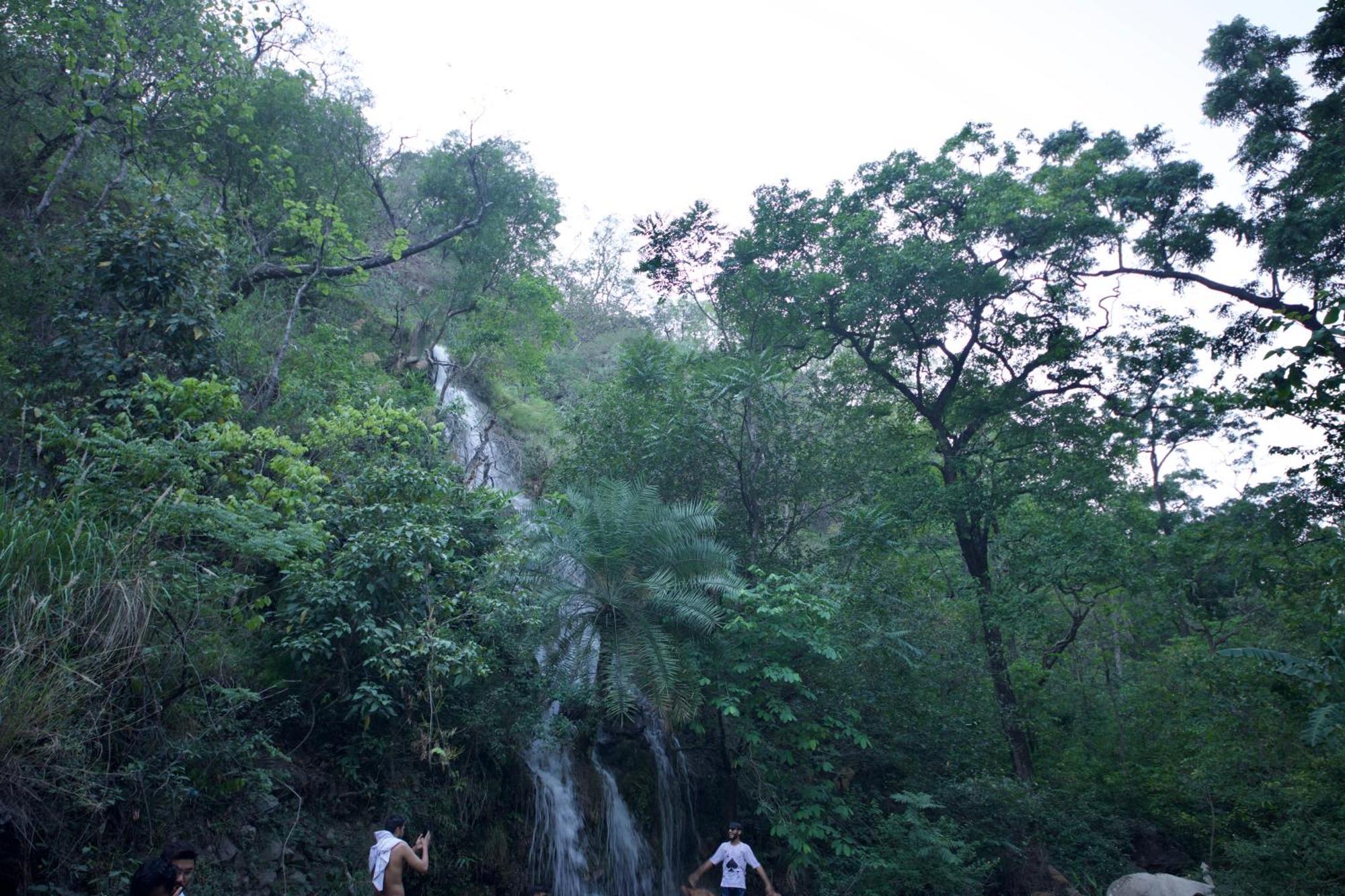 Perfect Stayz Premium Forest Valley Near Waterfall Rishīkesh Exterior foto