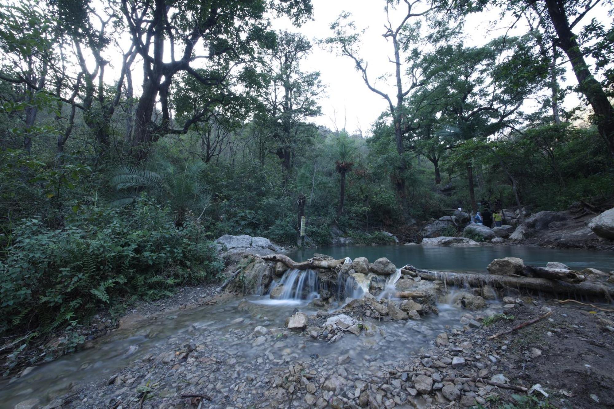 Perfect Stayz Premium Forest Valley Near Waterfall Rishīkesh Exterior foto